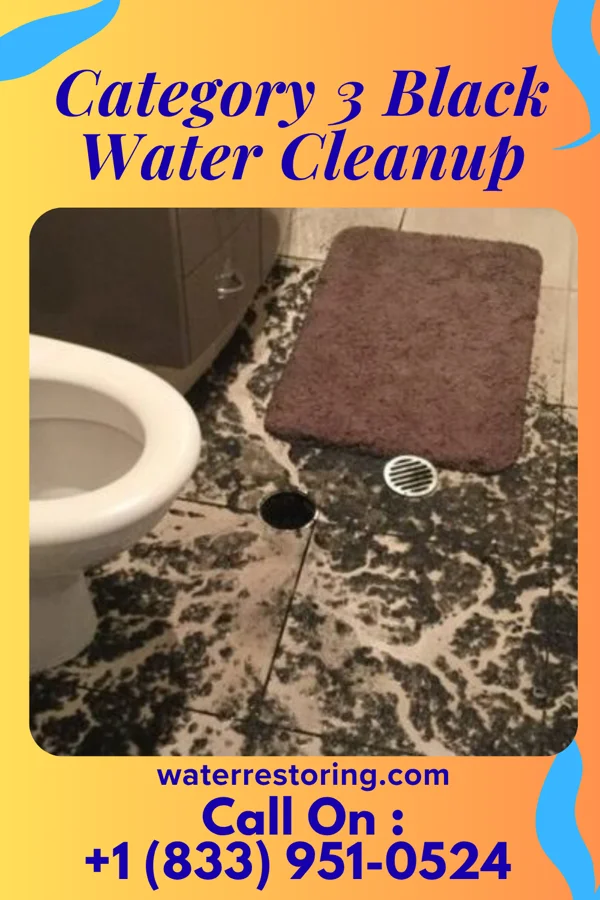 Category 3 Black Water Cleanup in Wauseon, OH