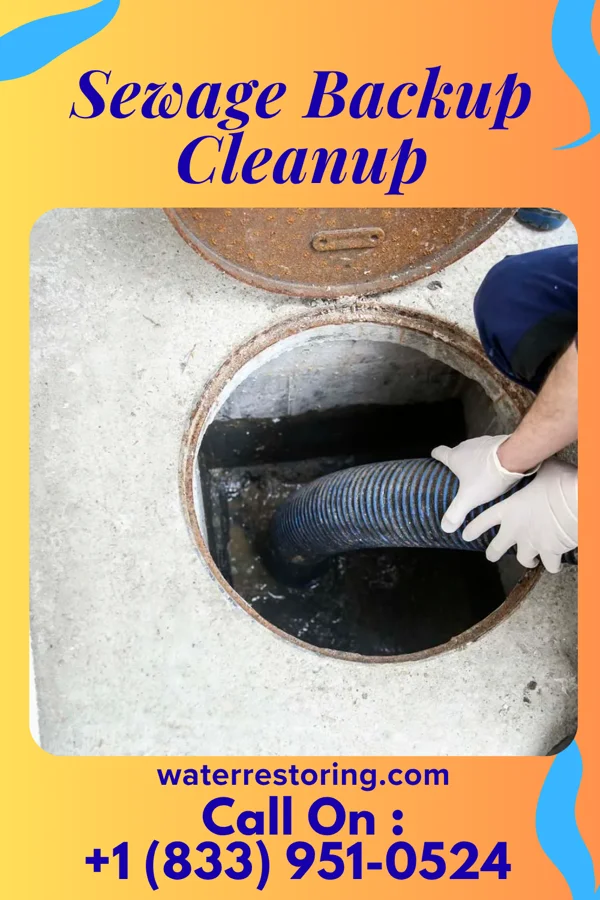 Sewage Backup Cleanup in Wauseon, OH