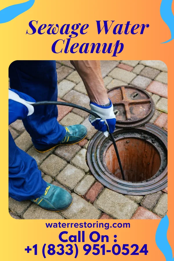Sewage Water Cleanup in Wauseon, OH